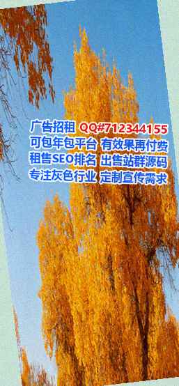 常德IVF汽车服务经营部